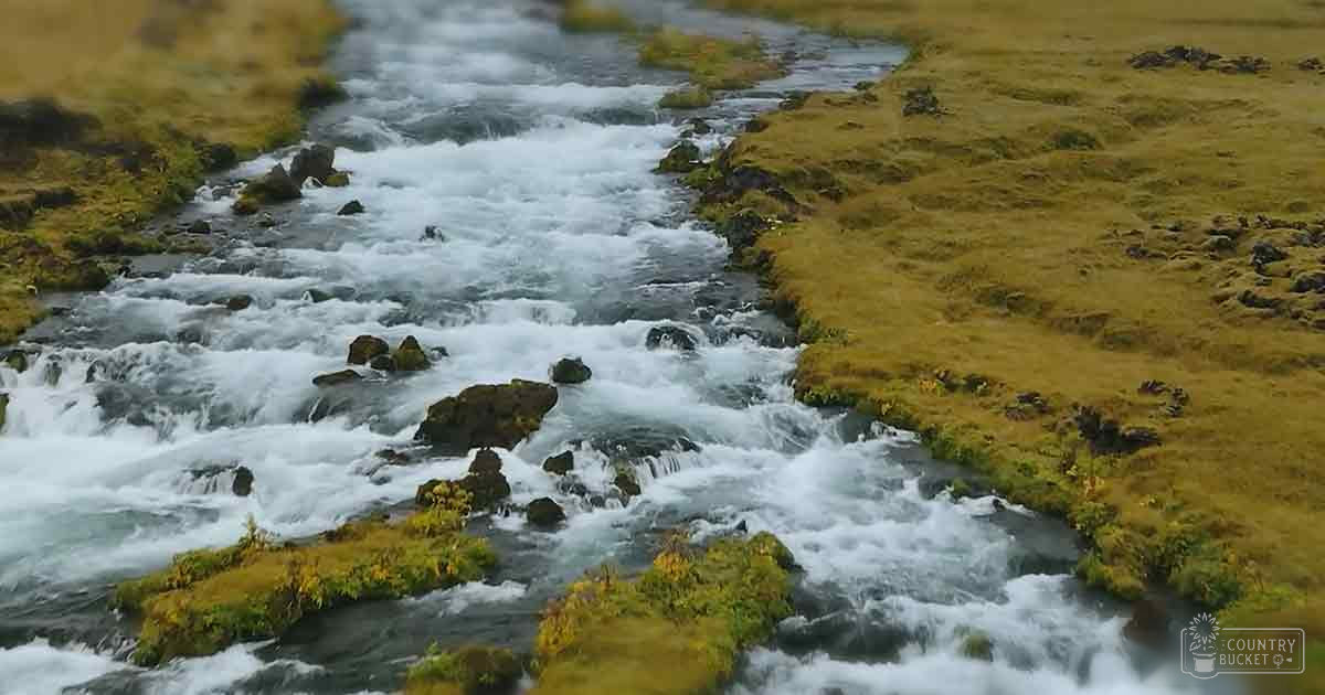 A flowing stream in Iceland with yellowish-green grassy banks and rocks under natural light, likely autumn.