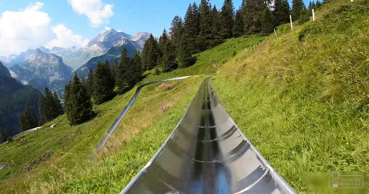 Metal sled on a grassy hillside with coniferous forestation in the background under partly cloudy skies during summer.