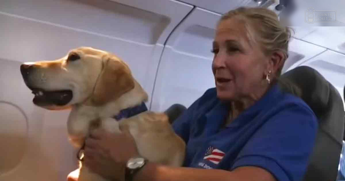 A middle-aged adult female holding a light brown golden retriever puppy inside an airplane cabin during daylight.