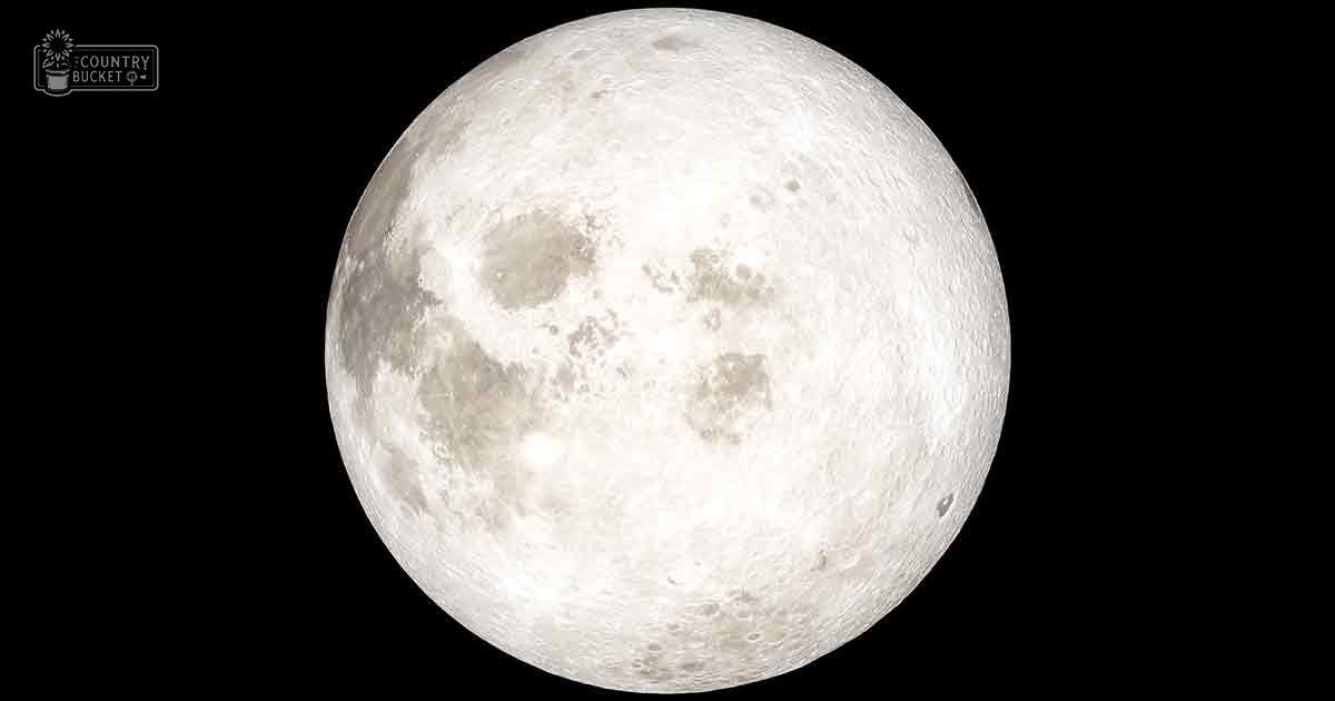 The moon is prominently featured against a black backdrop in outer space.