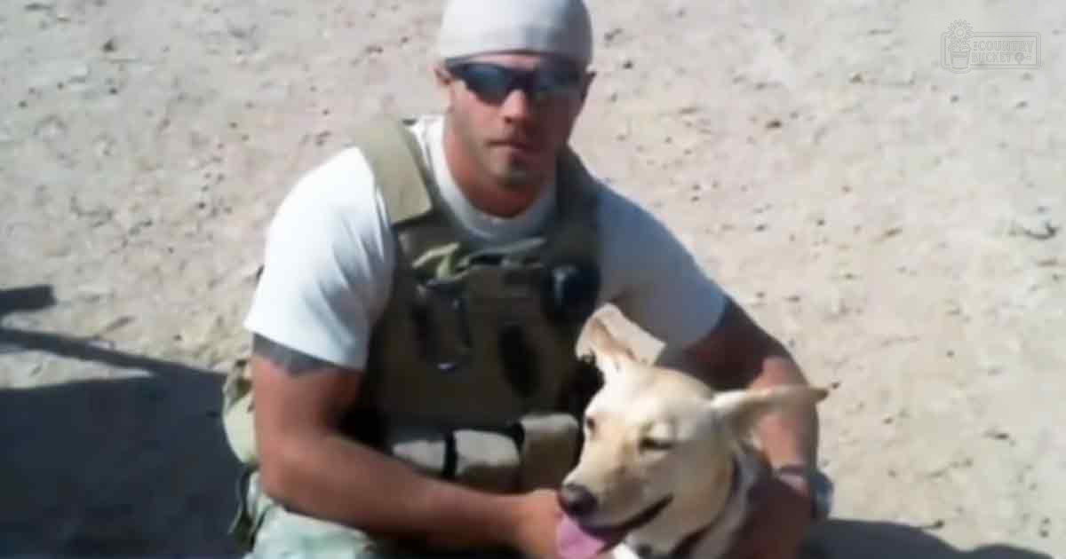 Adult male wearing a white t-shirt, beige tactical vest, sunglasses, and cap with a dog in an outdoor sandy area under bright daylight. A firearm is partially visible on the ground.