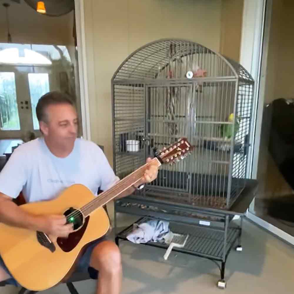 A middle-aged adult male playing a guitar indoors, wearing a white t-shirt with text partially visible. Natural light streams through large windows, and the setting includes an empty birdcage on wheels.