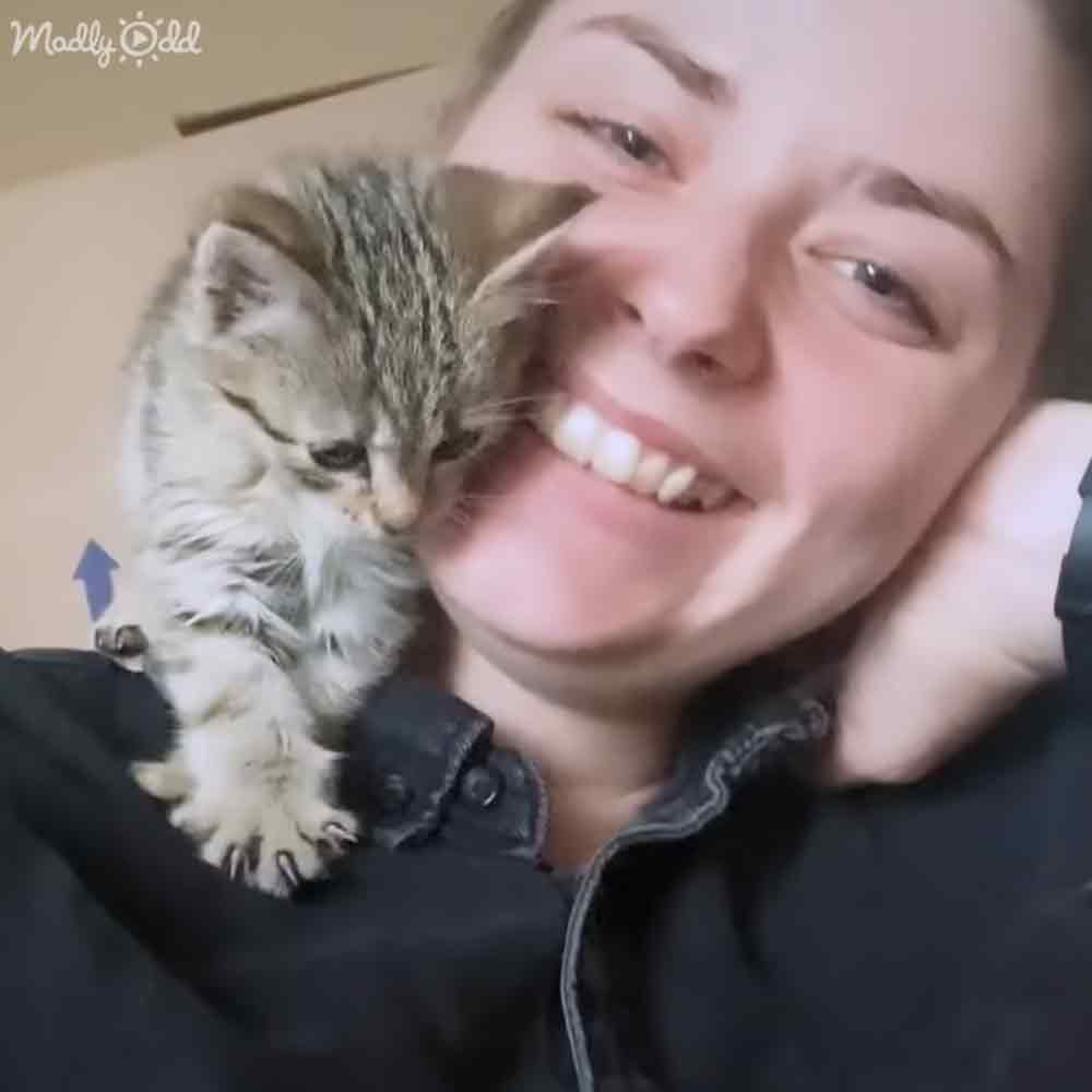 A young adult female holding a tabby kitten indoors, surrounded by plain walls.