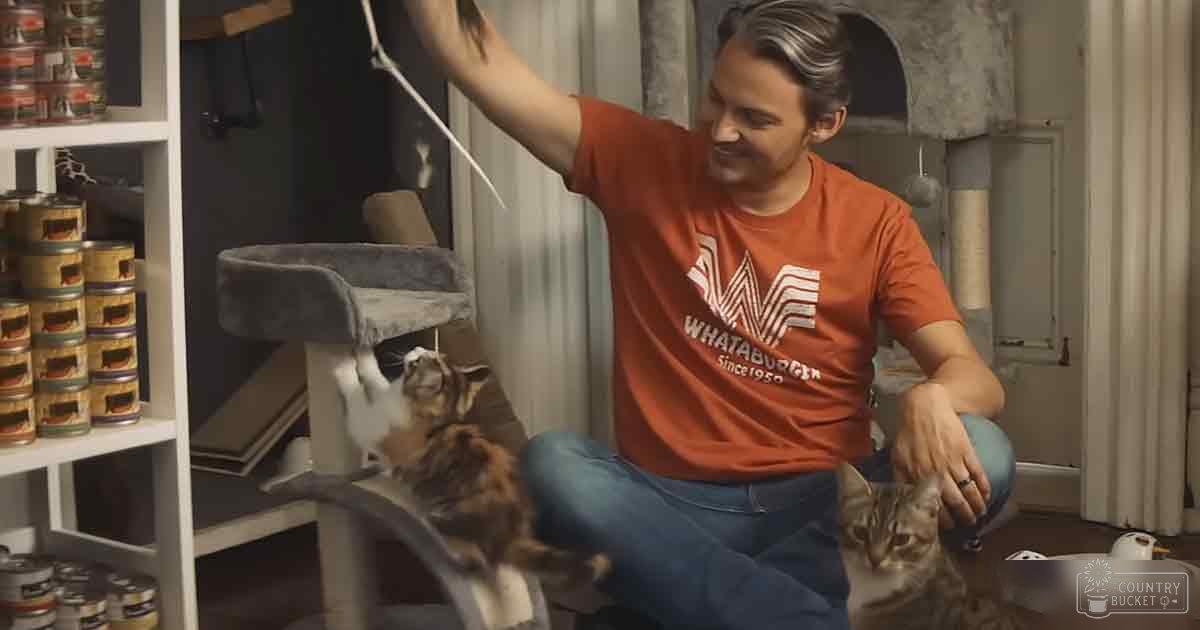 An adult male interacts with tabby cats in a home setting filled with pet supplies.