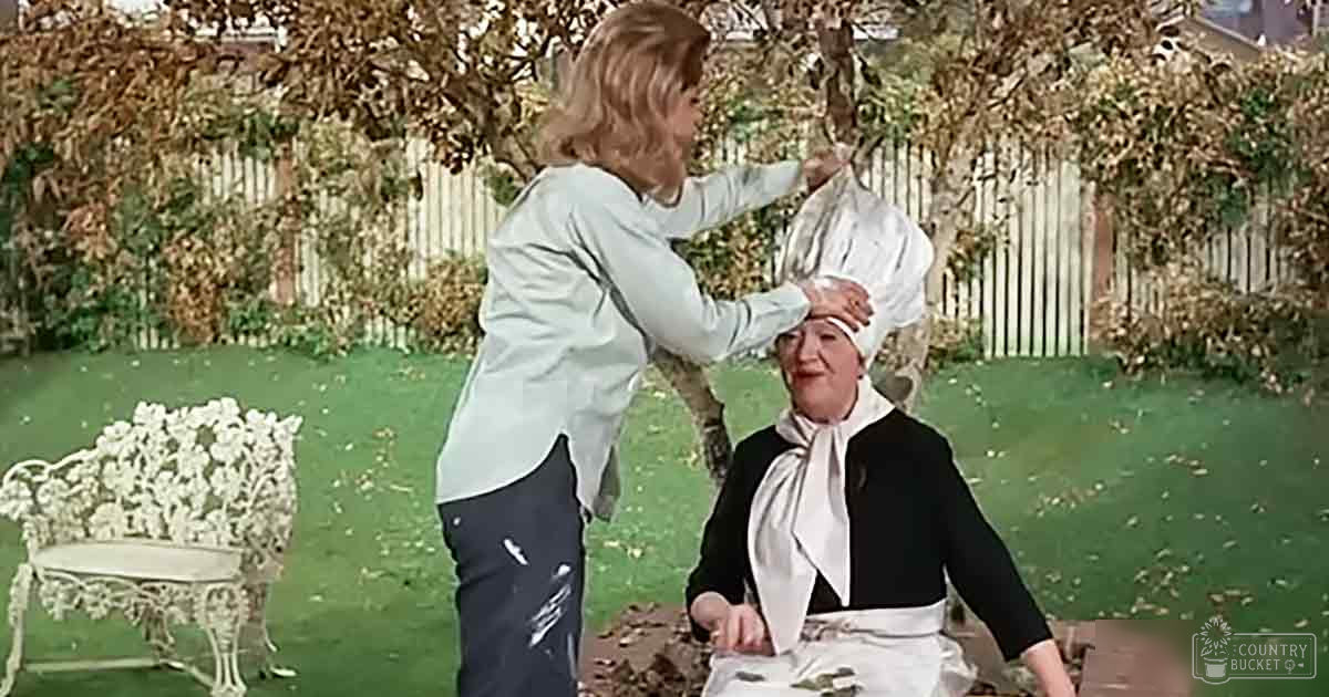 A young adult female in a casual outfit stands amidst an autumnal garden scene with fallen leaves and a white picket fence, while another older adult female sits nearby wearing a black dress and apron.