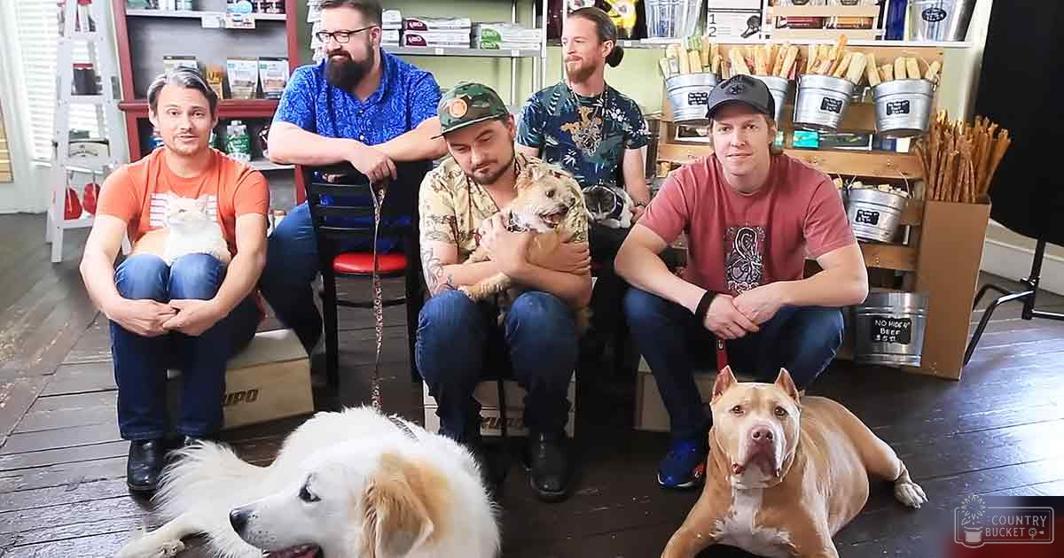 A group of adults wearing casual attire, interacting with pets in a brightly lit indoor setting filled with pet supplies and furniture.
