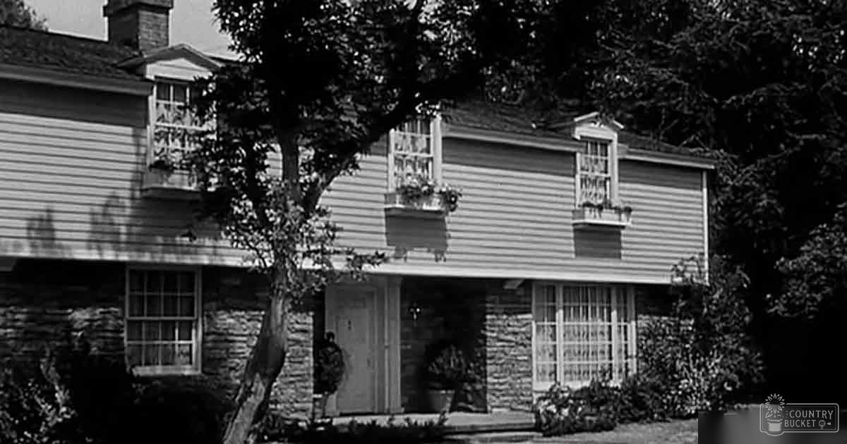 Residential suburban neighborhood with mid-20th century home decor including window boxes, stone walls, potted plants near entrance, trees and shrubs surrounding house, late afternoon or early evening light in black and white image.
