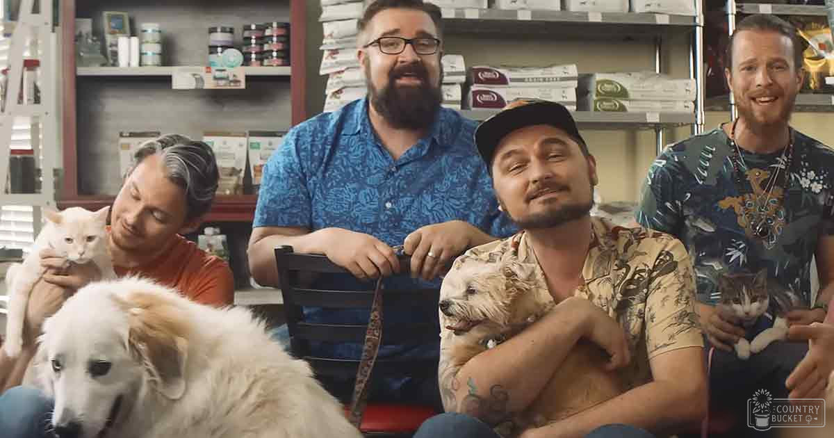 Adult males interacting with cats and a dog inside what appears to be a pet store or veterinary clinic; one holds a cat, another a small white terrier-like dog.
