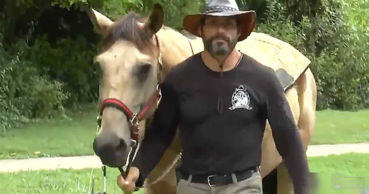 Adult male in black t-shirt and khaki pants, wide-brimmed hat, standing next to a light-colored draft breed horse with tan coat and darker mane, on paved path amidst lush greenery under bright natural sunlight.