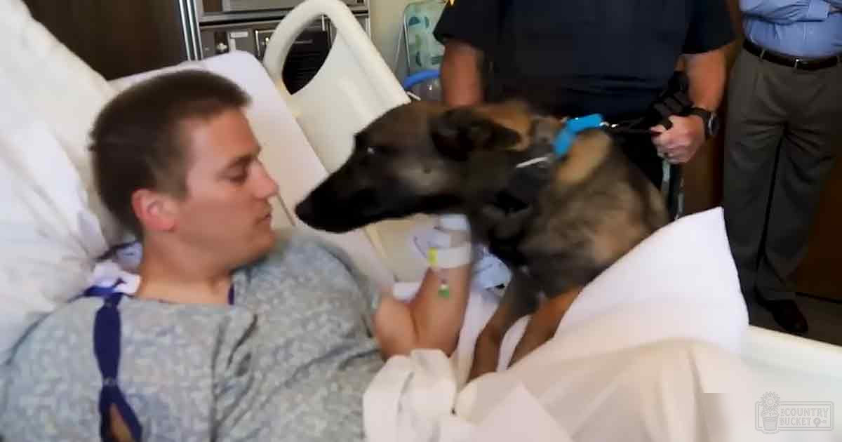 An adult male in a hospital bed, surrounded by medical equipment and furniture, with other adults observing; a German Shepherd dog is present.