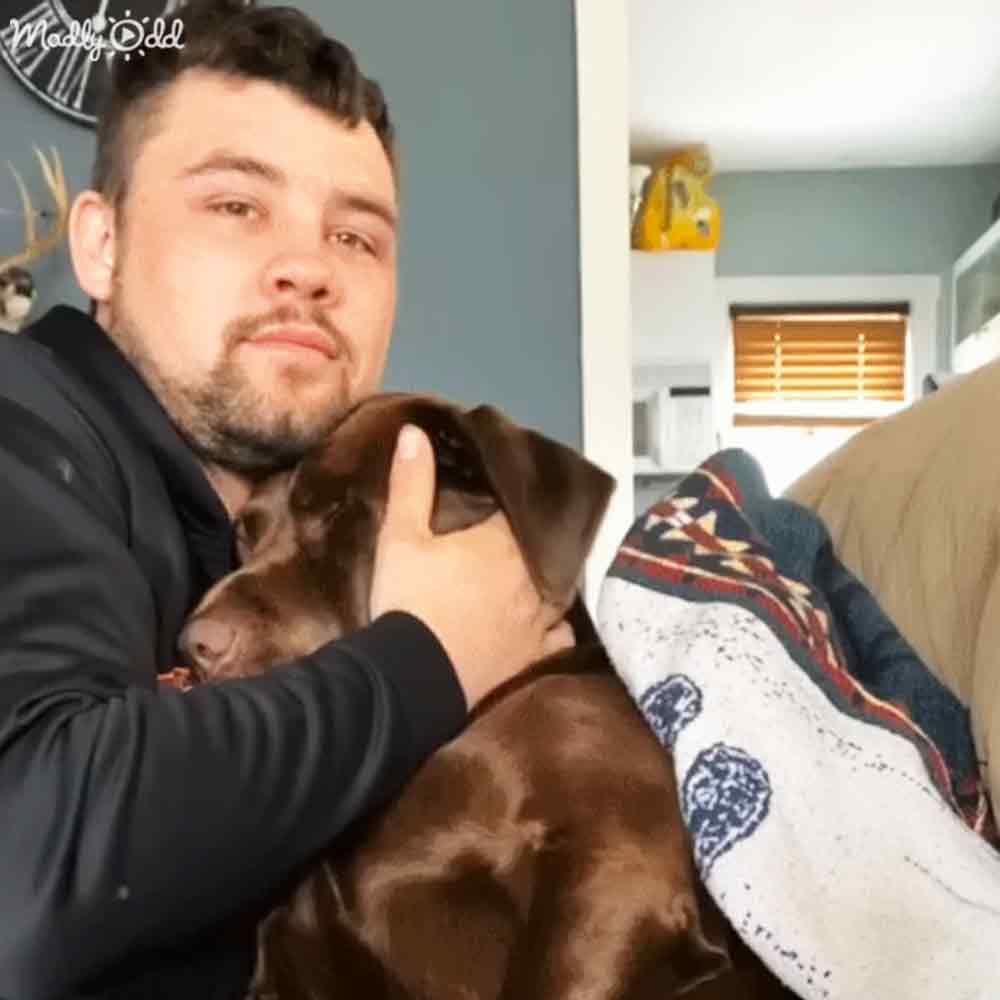 An adult male holds a solid brown Labrador Retriever or similar breed dog in a living room with light-colored walls, patterned blue and white blanket on furniture, and blinds indicating daytime indoor setting.