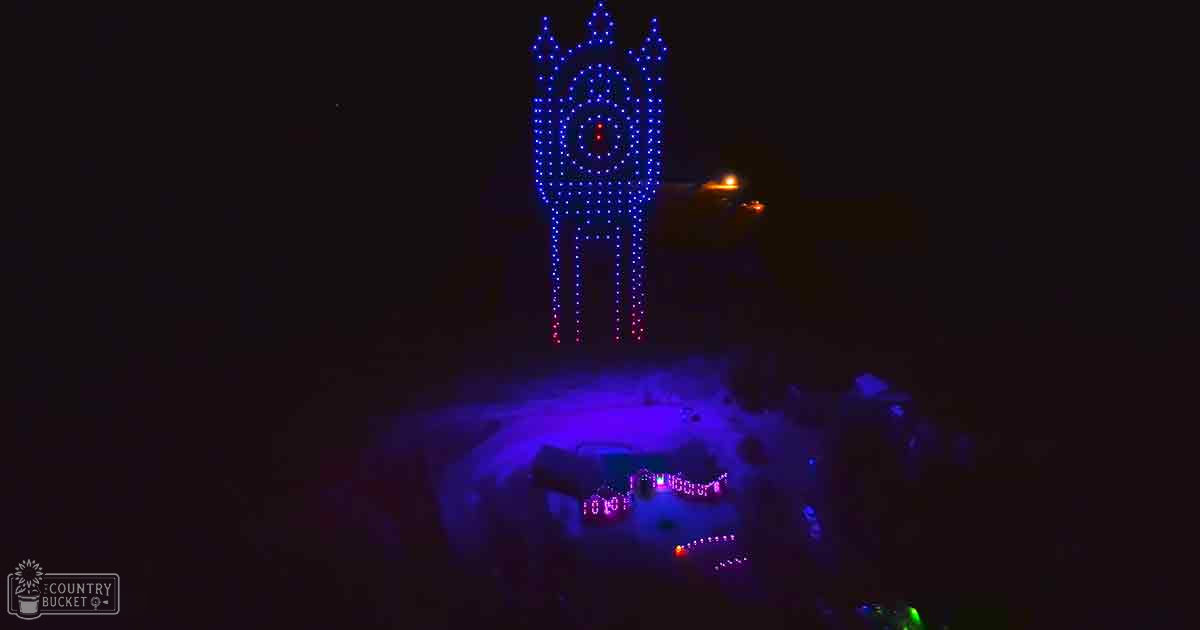 Nighttime light display in shape of a dog, outdoors during a festival, illuminated by blue and white lights against dark surroundings