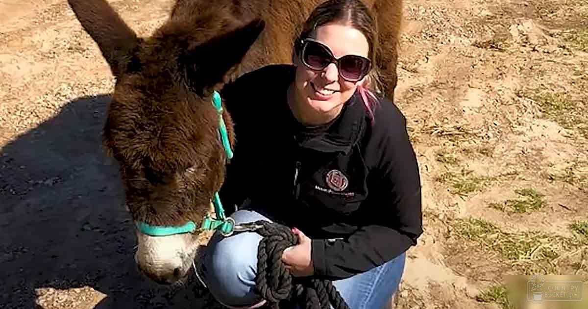 A young adult female wearing a black hoodie, blue jeans, and sunglasses interacts with an adult brown donkey with white markings on its muzzle against a backdrop of bright sunlight in a rural setting during spring or summer.