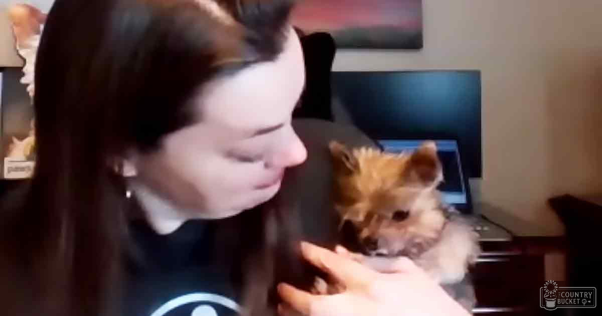 A young adult female holding a small brown-and-white chihuahua in an indoor setting with neutral-colored walls and some framed artwork, natural daylight lighting.