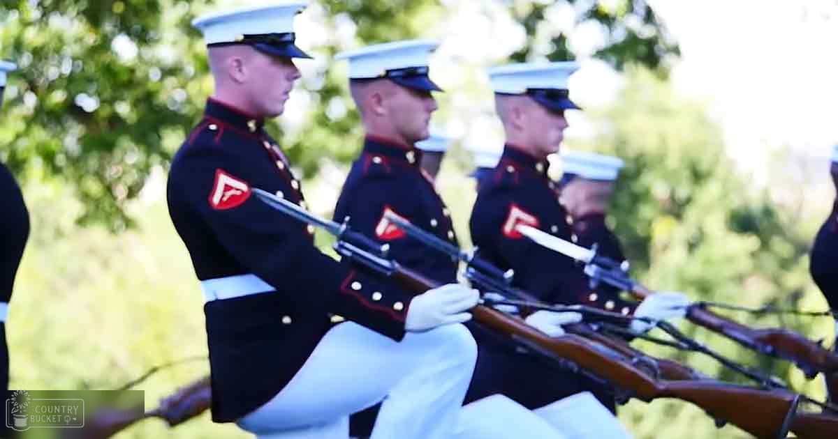 An outdoor military parade scene with Marines in Marine Corps dress blues, held outdoors amidst green foliage under bright diffused daylight.