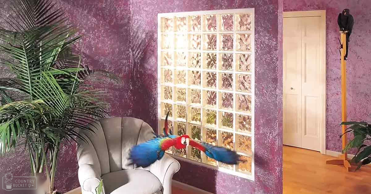 A large macaw with vibrant blue and red feathers perched indoors, alongside a smaller bird on a wooden stand in a living room setting with purple walls.