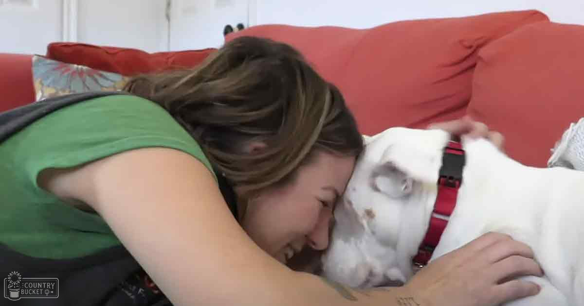 A young adult female wearing a green sleeveless top and black pants lies with her American Bulldog in a cozy living room setting, with a red sofa adorned with a sunburst-patterned pillow.
