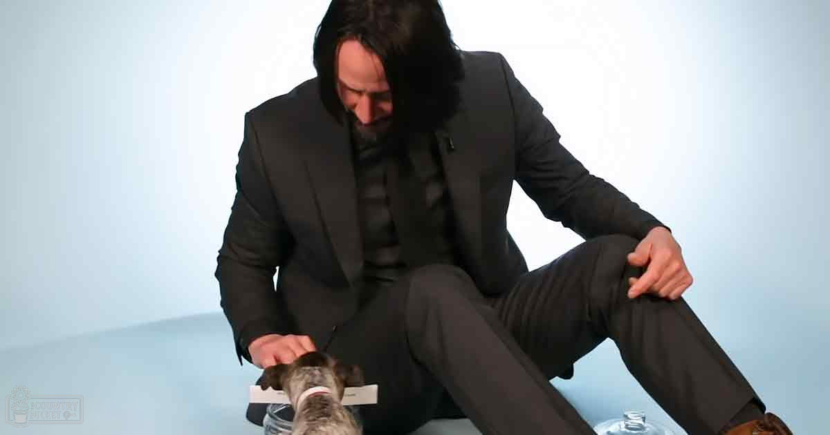 An adult male in a tailored dark suit against an indoor backdrop with a small terrier dog nearby, light blue background, no focal objects, season or time of day indicated.