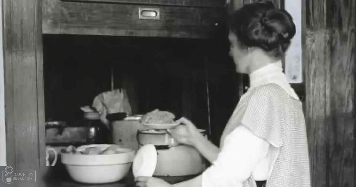A young adult woman wearing a vintage-style apron over a collared shirt, surrounded by kitchen utensils and decor, possibly mid-20th century.