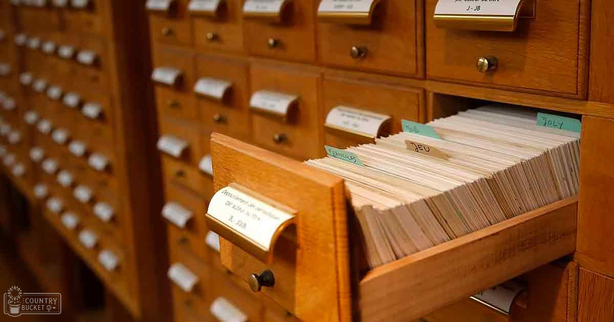 Wooden library card catalog drawers with neatly arranged color-coded cards in a natural light-filled indoor setting.