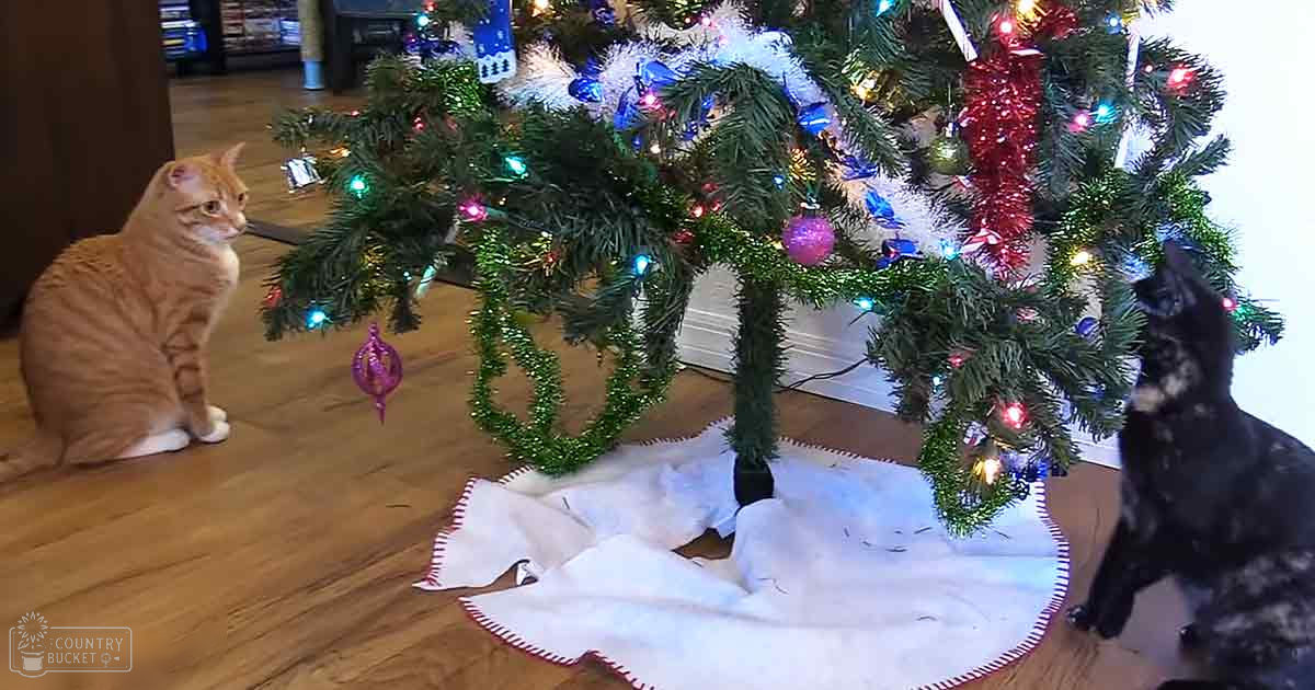 Two cats around a decorated Christmas tree indoors, with greenery, white skirt, red tinsel, and bright natural light.