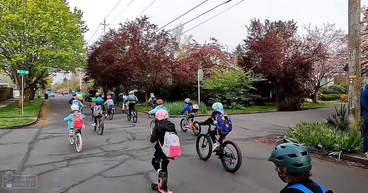 Children riding bicycles on a residential street with blooming trees in springtime under natural daylight with overcast skies.