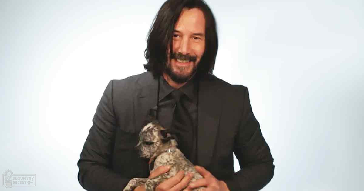 Middle-aged male in a dark gray suit with black shirt and tie, accompanied by a small dog with white fur speckled with gray and black; studio setting with bright even lighting.