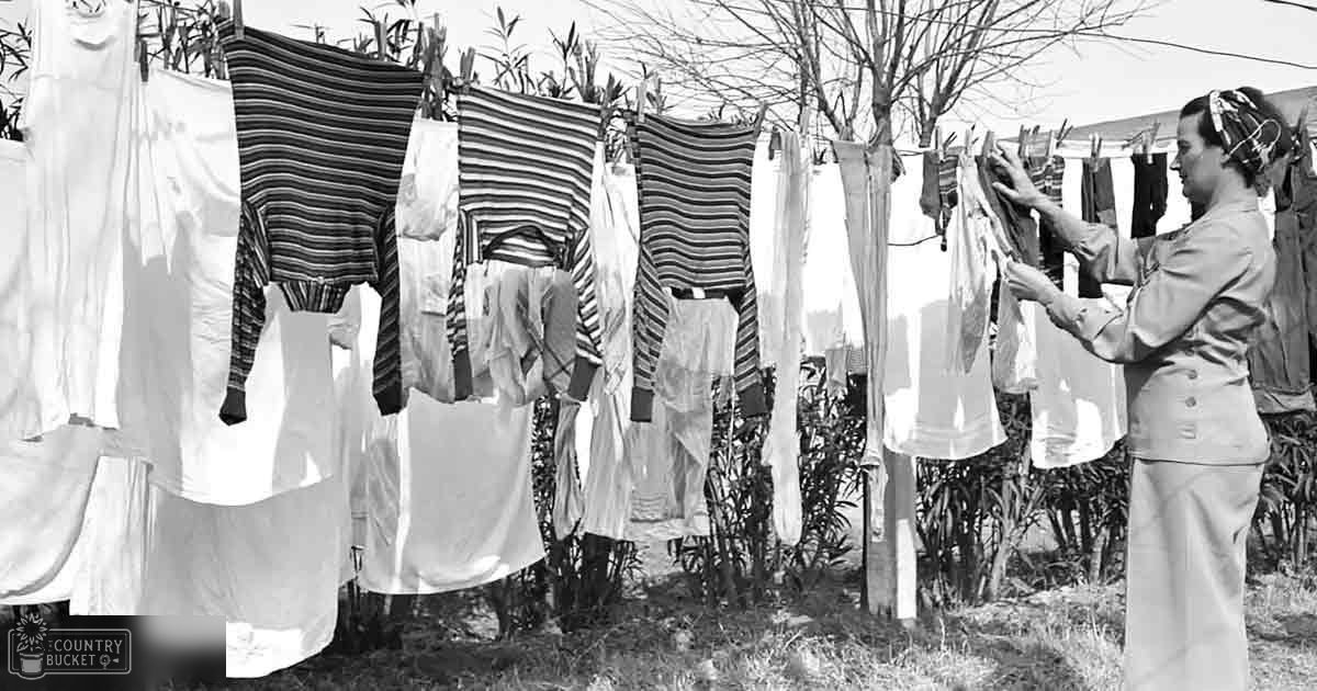 A middle-aged woman wearing a long-sleeved dress with buttons down the front and a headscarf hangs laundry in an outdoor backyard or garden area, surrounded by vegetation and bare trees suggesting late autumn or early spring. The lighting is bright and natural daylight.