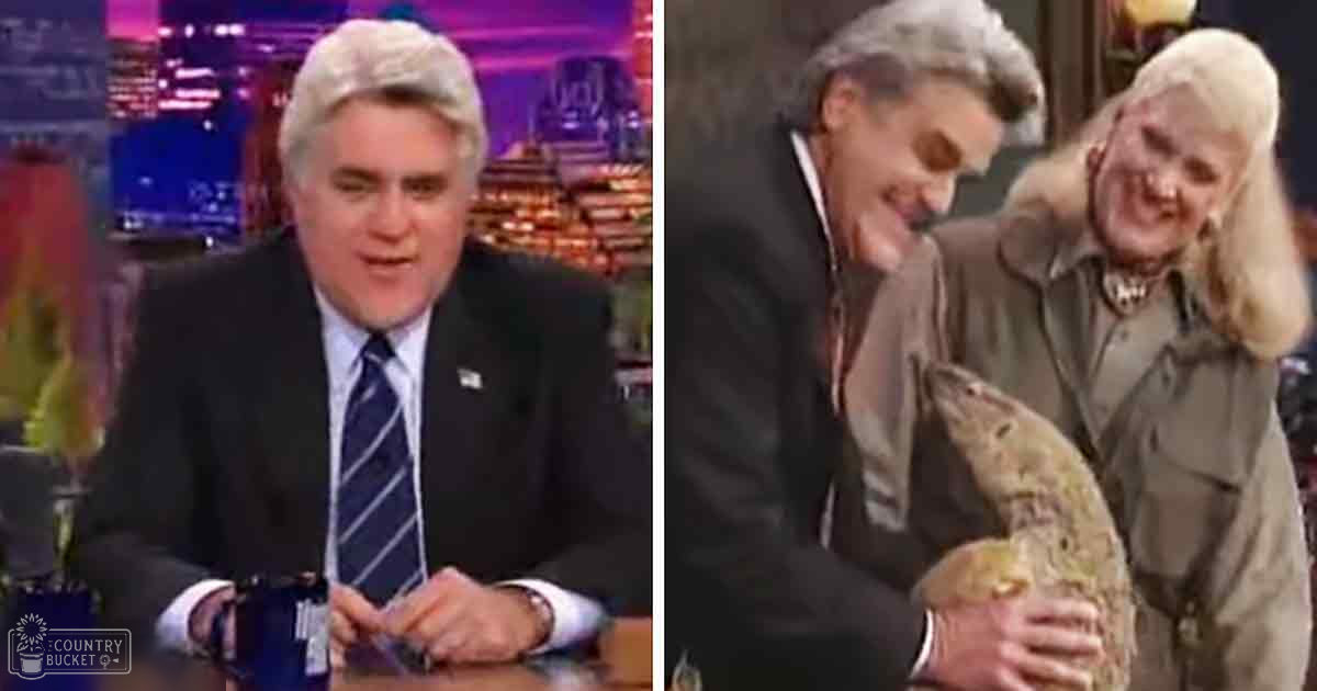 Monitor lizard adult olive-green jacket olive green studio talk show host male middle-aged dark suit with white shirt blue striped tie watch microphone indoor urban night backdrop