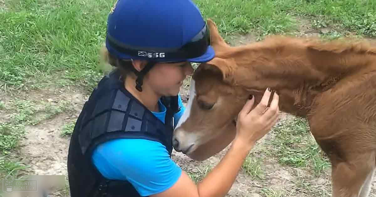 A young adult female interacts with a juvenile horse or pony in an outdoor rural setting during spring or summer, wearing a blue helmet and black riding vest over a bright blue shirt.