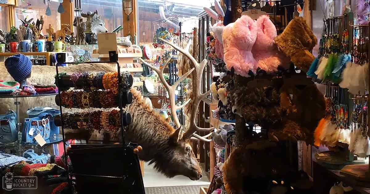 A taxidermied elk head with large antlers is prominently displayed in an indoor gift shop or souvenir store, surrounded by various souvenirs and retail items.