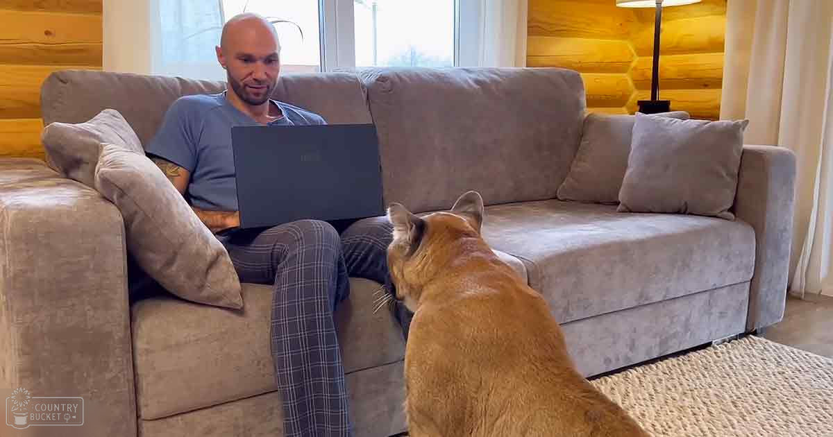 Adult male in blue t-shirt and plaid pants sitting on a light gray couch with a tabby cat, natural daylight streaming through wooden-paneled walls.