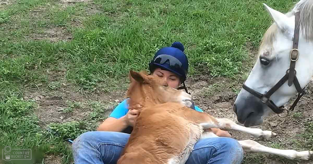 A young adult female holds a small animal in an outdoor grassy area with a horse in the background, suggesting spring or summer under bright daylight.
