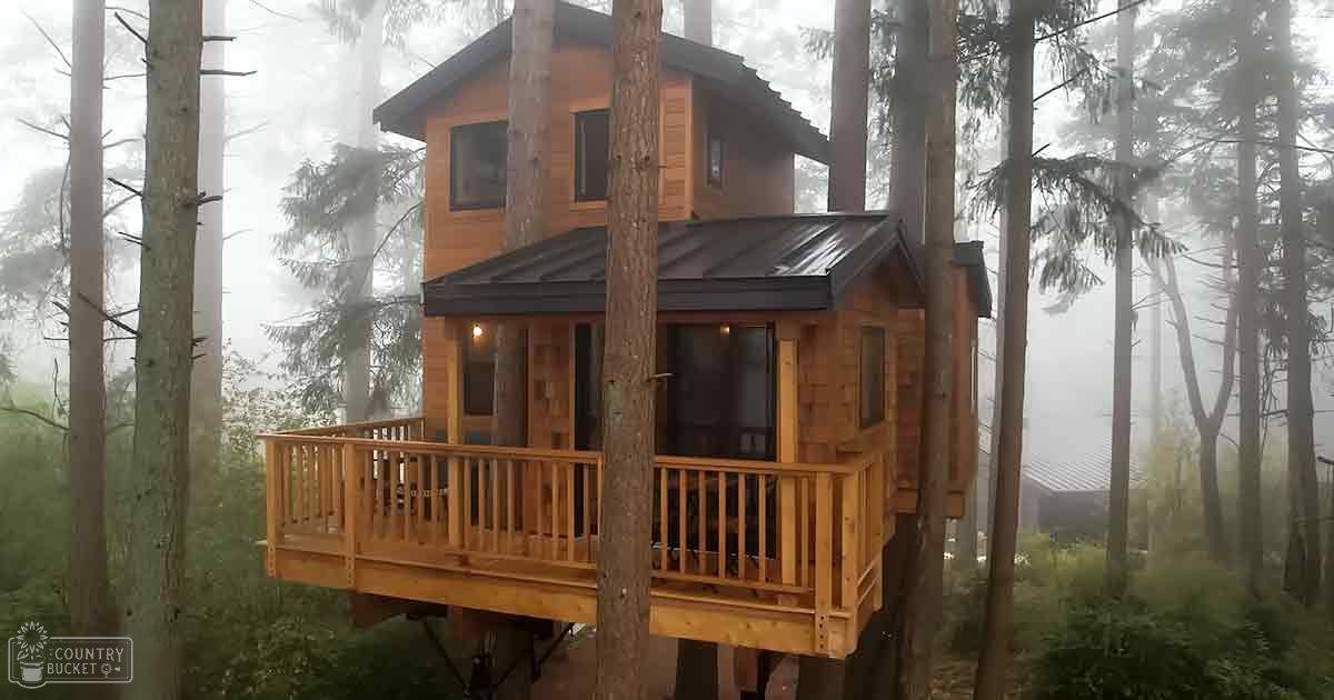 A serene forest scene with a two-level wooden treehouse with dark metal roof and multiple windows, surrounded by dense trees and fog.