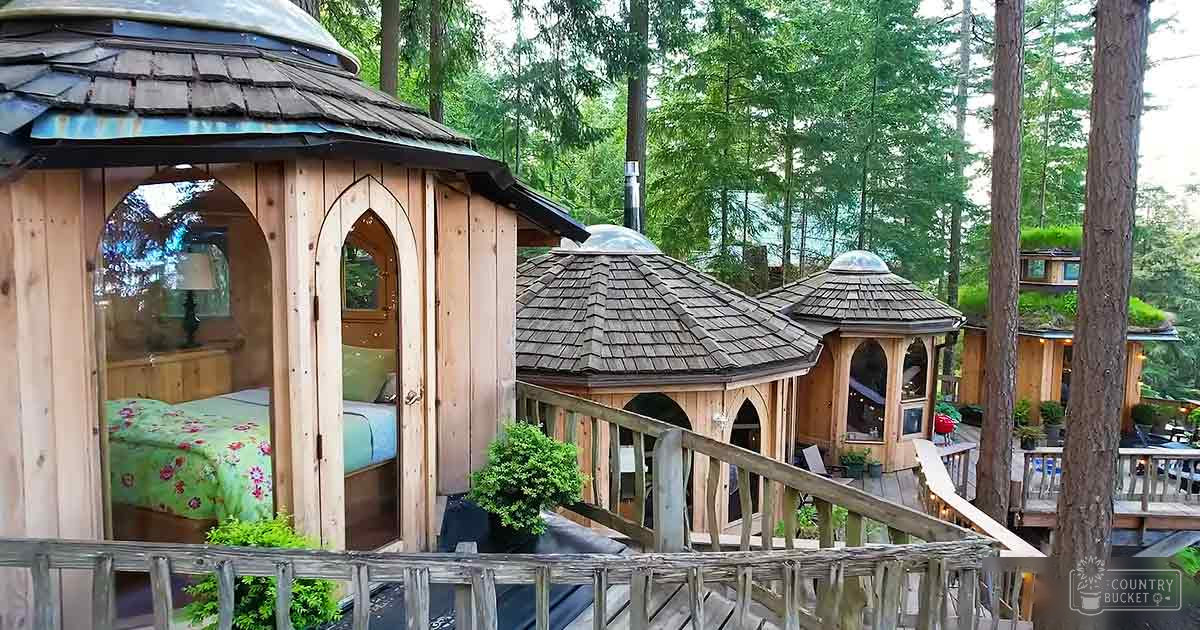 A forested area with several wooden treehouses with arched windows and sloped roofs covered in shingles; connected by wooden walkways, surrounded by tall trees.