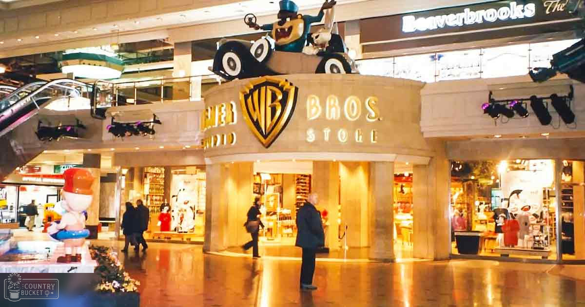 An older adult wearing a dark coat with a high collar walks away near Warner Bros. Store signage in a busy shopping mall, illuminated by artificial light at dusk.
