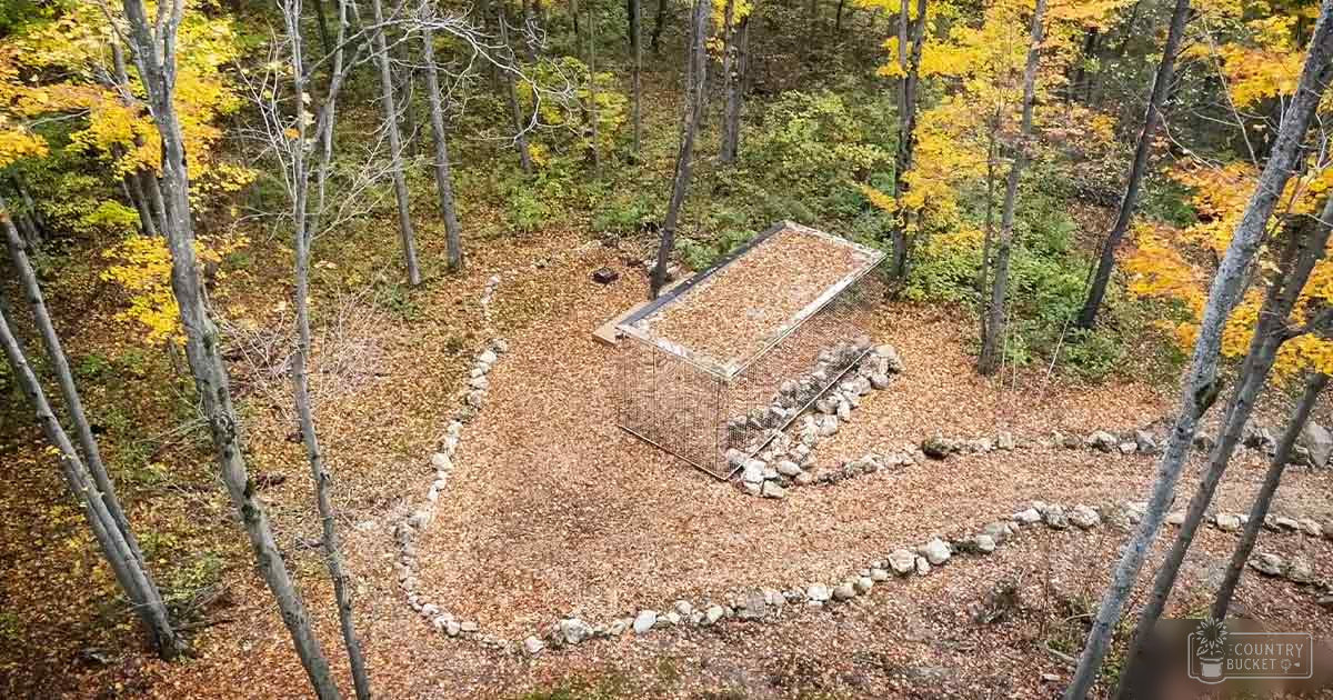 An autumnal forest scene with a stone structure at its center surrounded by fallen leaves under natural daylight.