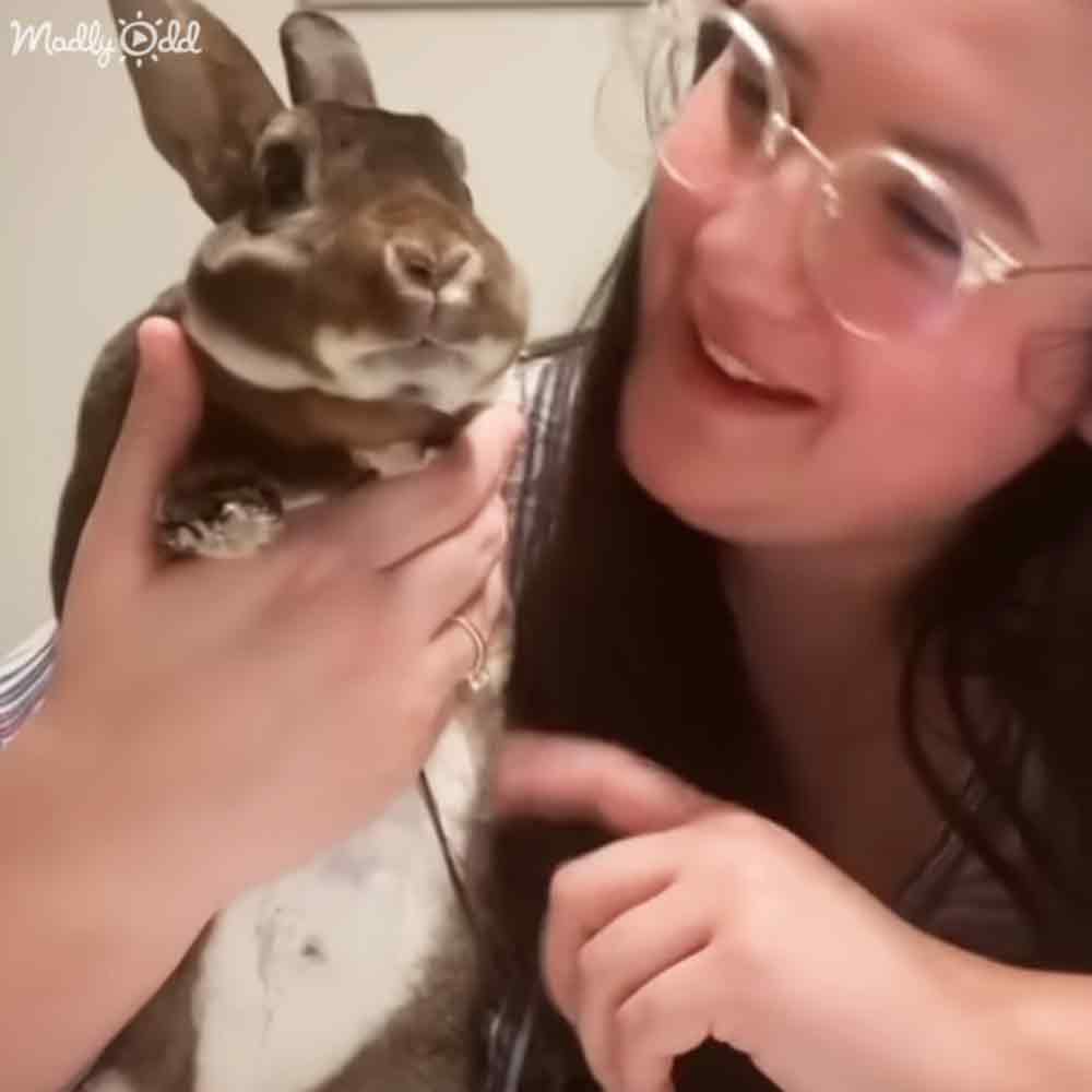 A young adult woman holding a dwarf rabbit indoors, with natural light and a plain wall background.