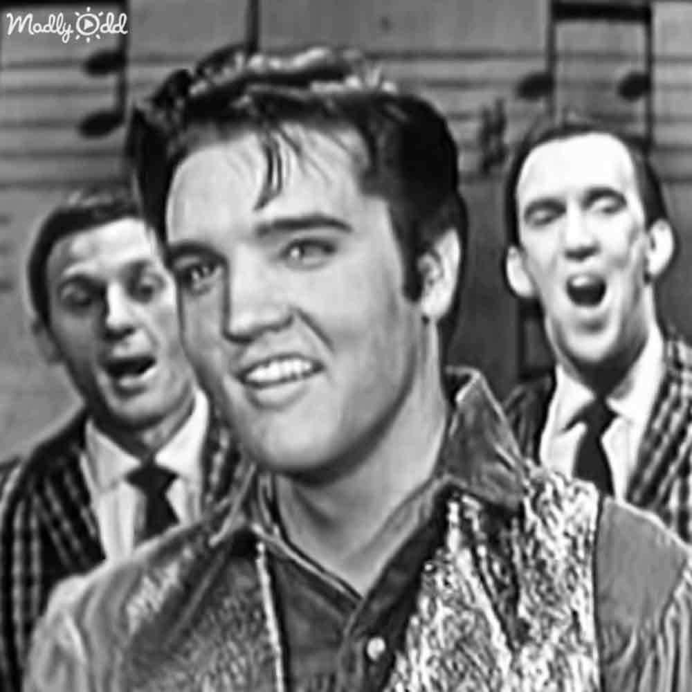 Young adult male in a patterned jacket with high collar indoors; background includes wooden paneling and part of a brick wall, suggesting an indoor stage or set design.