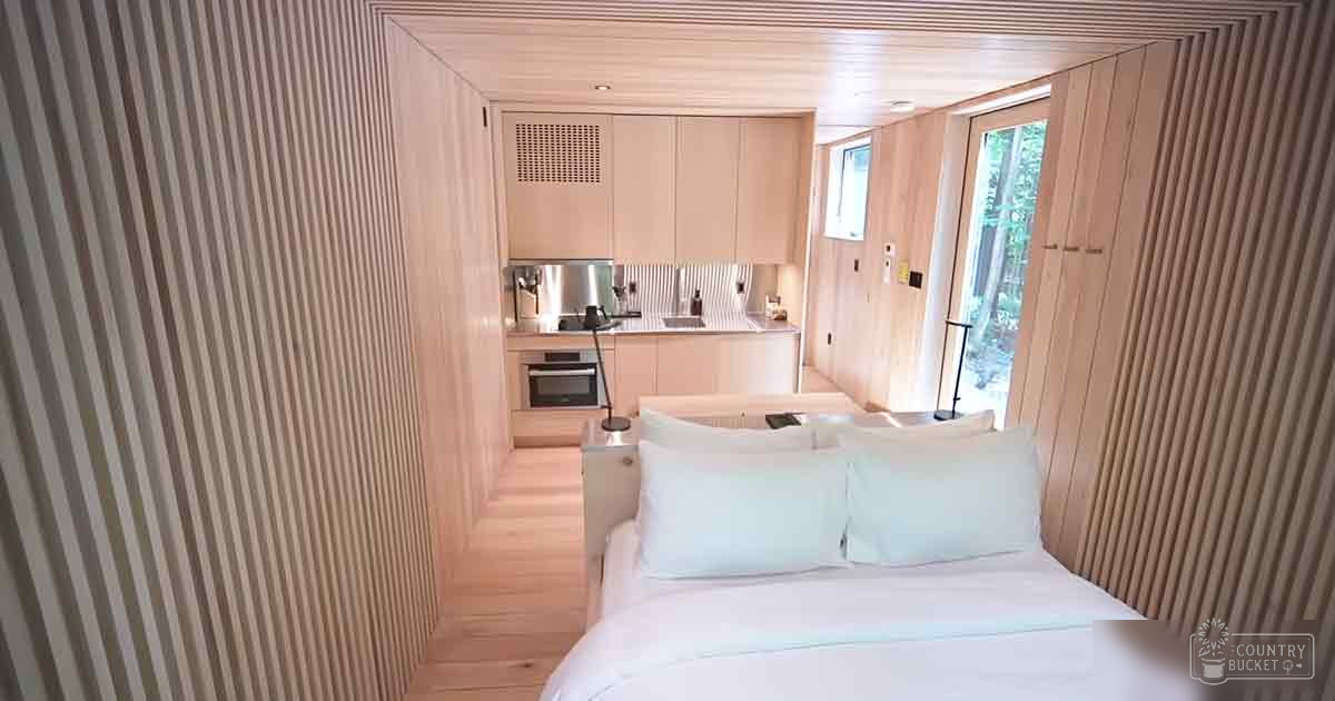 A modern indoor living space with white bedding, wooden walls and flooring, cabinetry, a sink, oven, coffee machine, and greenery outside through a window.
