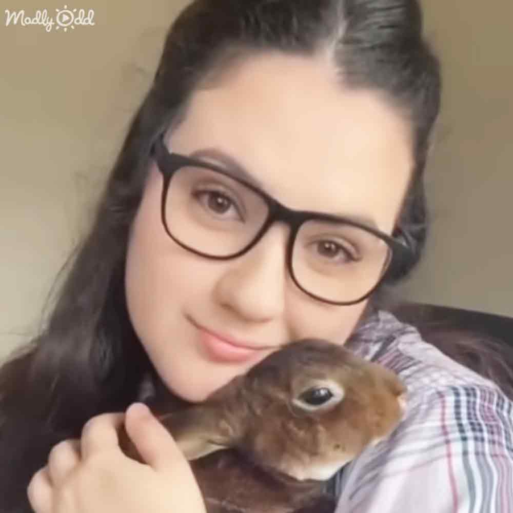 A young adult female in a plaid shirt holds a brown rabbit with white markings indoors under natural lighting.