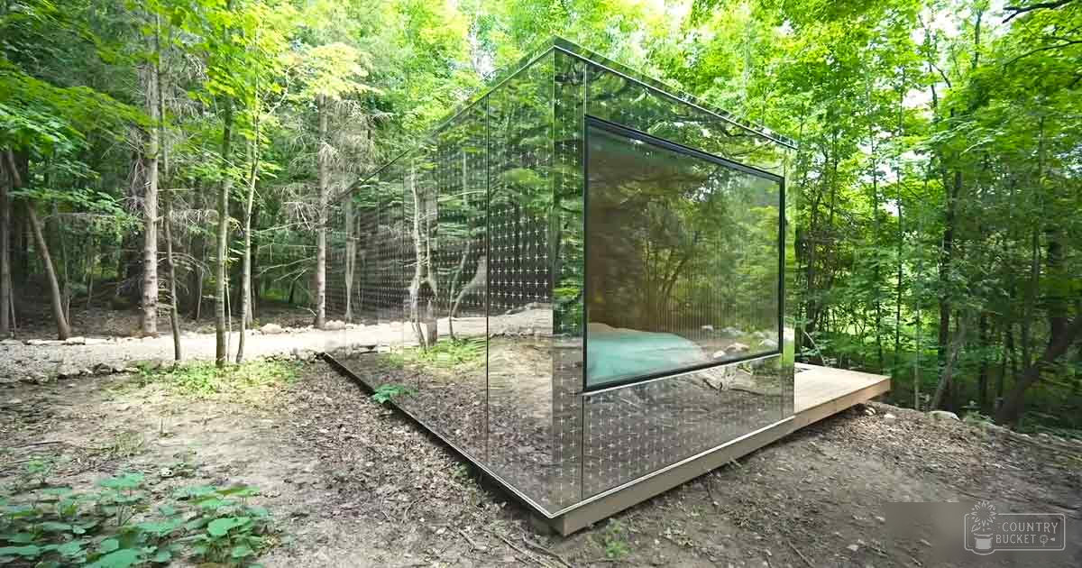 A modern glass cube structure with mirrored surfaces on a wooden platform in a dense forested area during daytime.