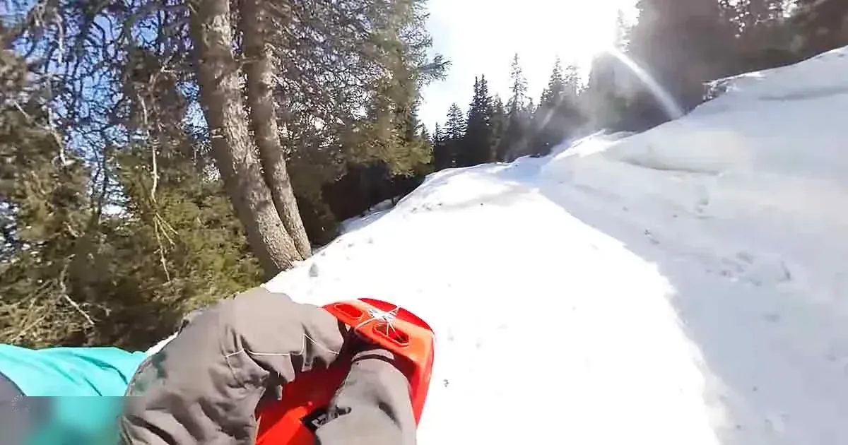 A young adult wearing teal pants and gray gloves sleds down a snowy hillside surrounded by tall evergreen trees, with clear skies in the winter setting.