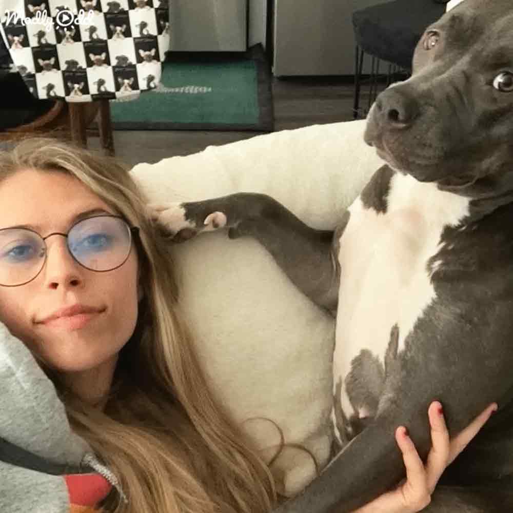 A young adult female in a red patterned hoodie with a gray and white dog, possibly a pit bull, in an indoor living room setting with natural daylight.