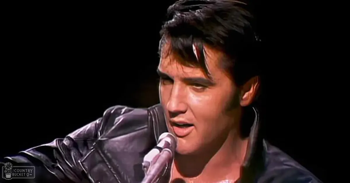 Adult male singer in a shiny black leather jacket on stage with microphone and watermark 'Madly Odd'.
