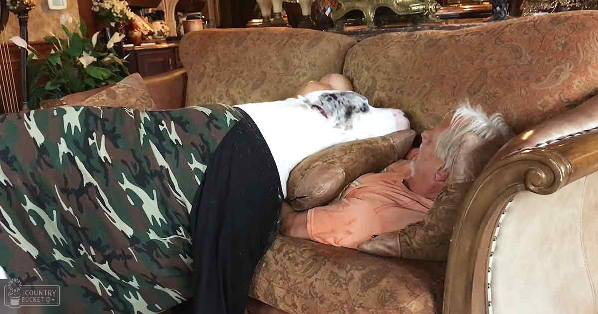 An older adult resting with a large breed dog in a cozy living room with traditional decor, warm lighting suggesting evening or late afternoon.