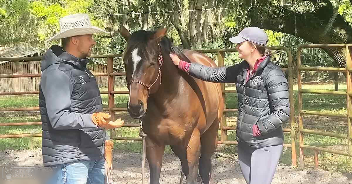 A Thoroughbred horse with a white blaze stands in an outdoor rural setting, surrounded by greenery and trees. A person wearing a dark gray puffer jacket and a white cowboy hat stands nearby.
