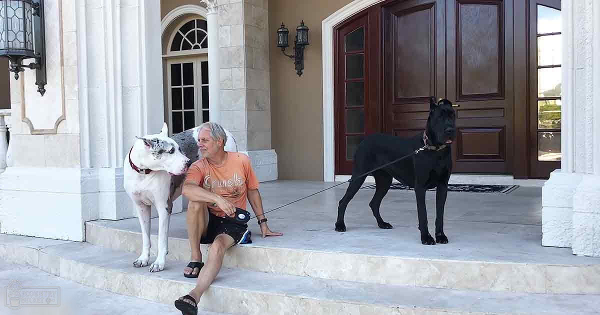 A middle-aged male wearing an orange 'Crush' t-shirt, black shorts, and sandals holds a leash while walking two adult Great Dane dogs in front of an elegant home with glass panels and columns on a sunny day.