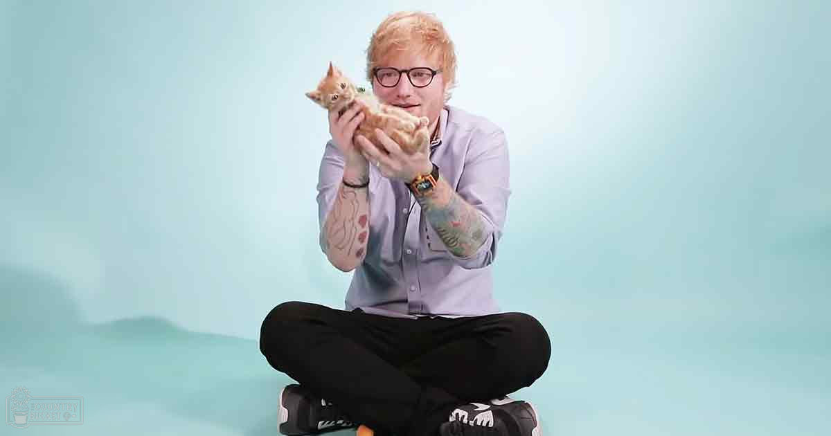 A young adult male holds a small tabby kitten in an indoor studio setting with a plain light blue background.