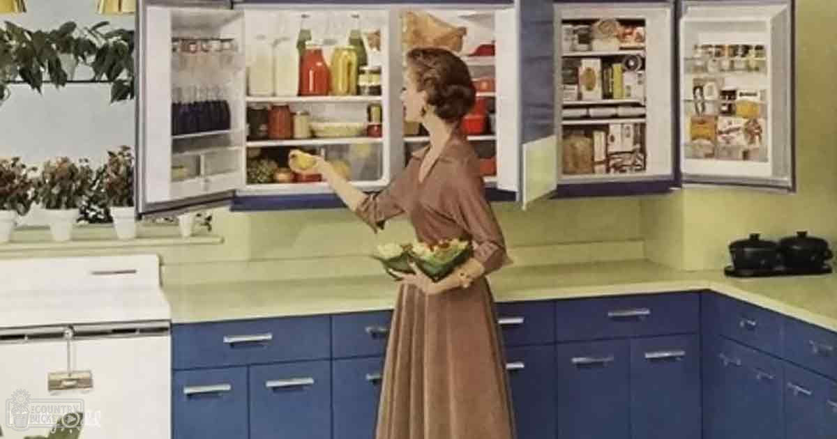 An adult female wearing a mid-20th-century long brown dress with a fitted bodice and flared skirt, standing in a brightly lit kitchen setting with blue cabinets, white countertops, and various appliances.